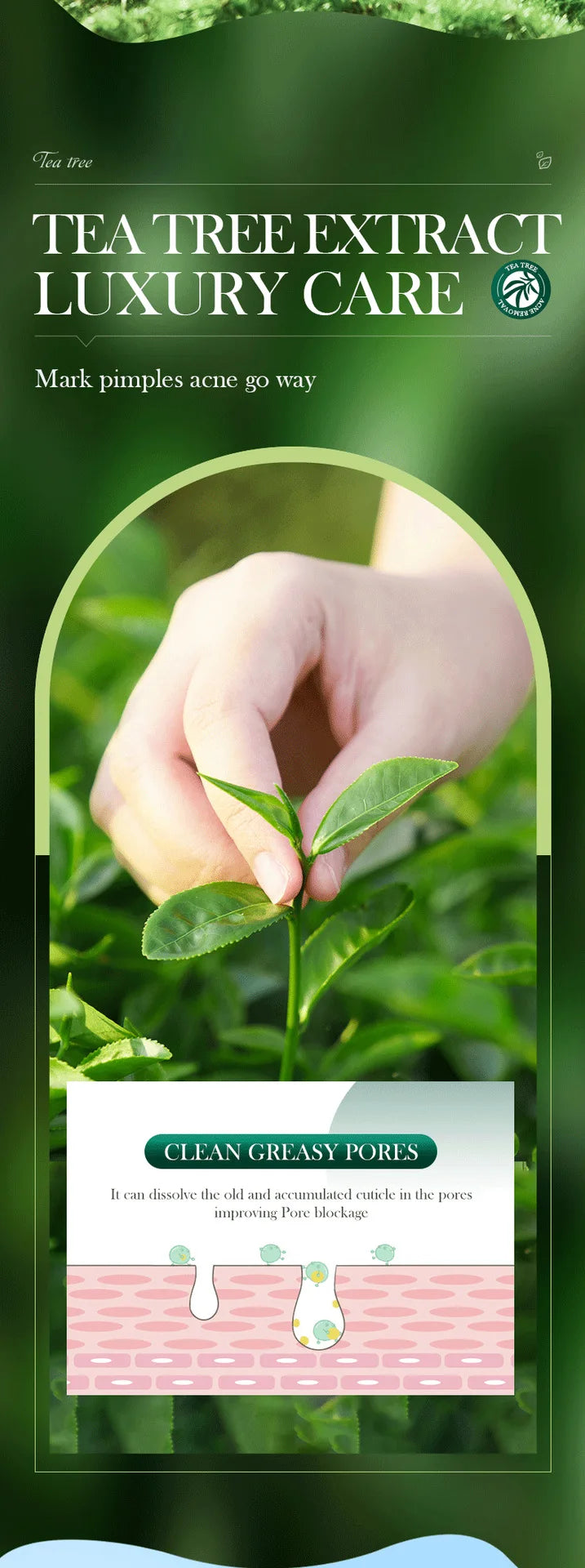 SADOER árbol de té crema eliminadora de acné cuidado de la piel Facial Control de aceite cremas de Gel Facial hidratante crema Facial cuidado de la piel