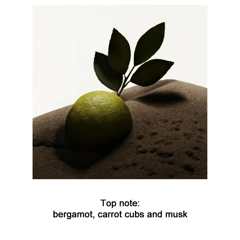 Perfume para hombre, 100ML, ébano, Perfume de sándalo para hombre, aerosol, feromonas de coqueteo, Romance de larga duración, atrae las mujeres, regalo del Día de San Valentín