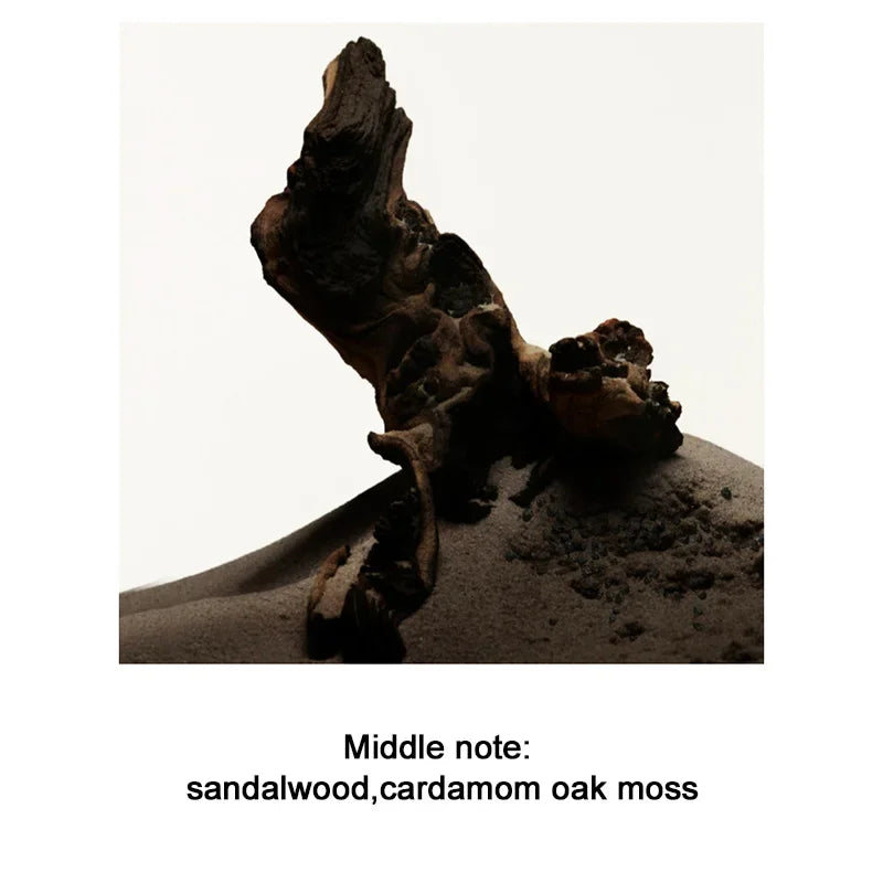 Perfume para hombre, 100ML, ébano, Perfume de sándalo para hombre, aerosol, feromonas de coqueteo, Romance de larga duración, atrae las mujeres, regalo del Día de San Valentín